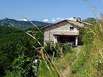 Dacha Houses