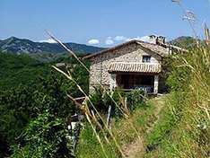 Dacha Houses
