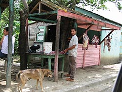 Dominican Republic