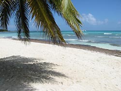 Saint Lucia