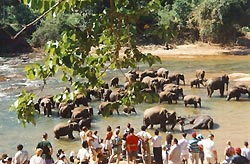 Sri Lanka