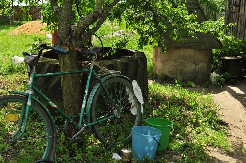 Bicycle in the garden