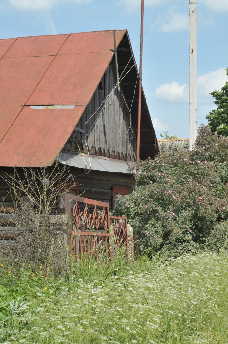 Striking wooden house with decorative gate