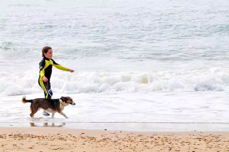 Baltic Sea holiday with dog