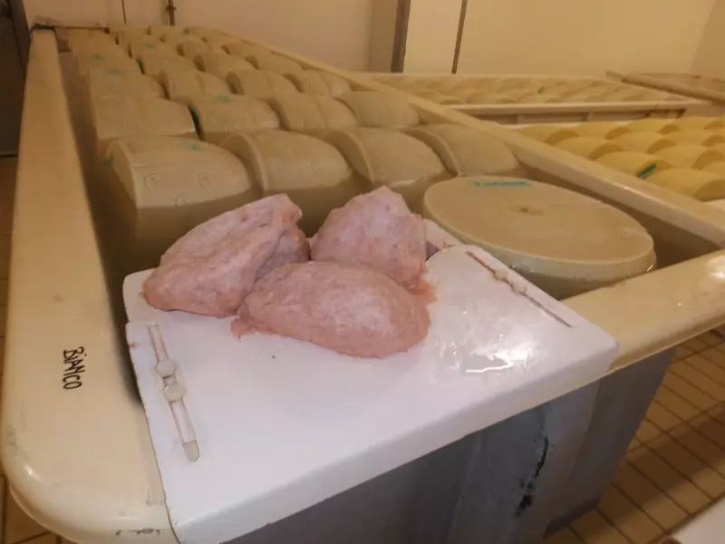 Cheese in a cheese factory