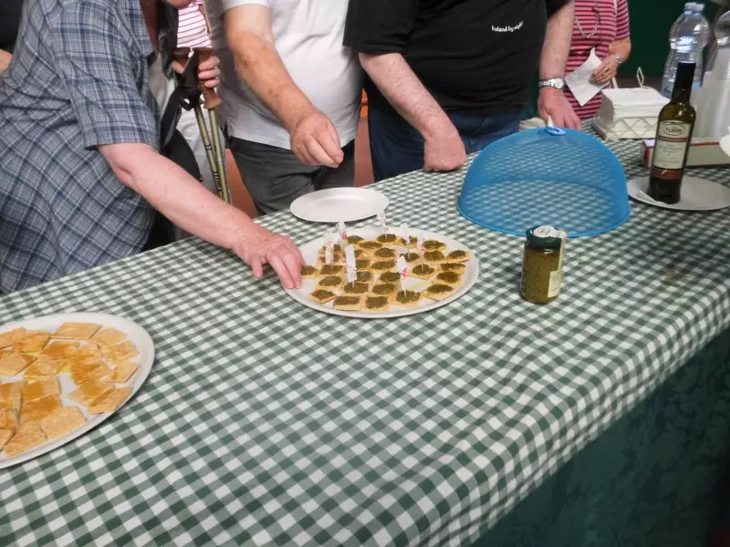 Olive oil tasting in an oil mill