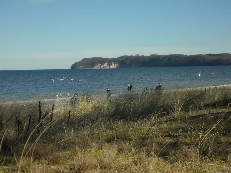 Beach and dunes on Rügen on the Baltic Sea