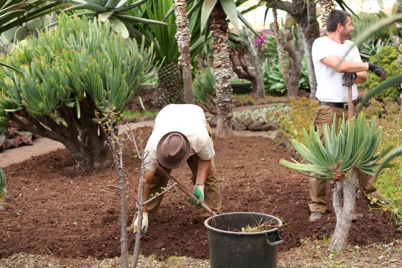 Two gardeners work between succulents in a garden