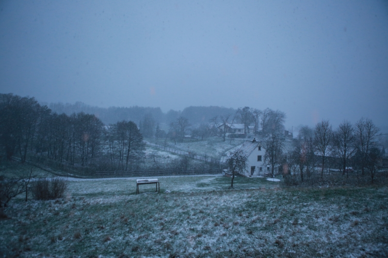 Snowy Hillscape with Houses and Forest