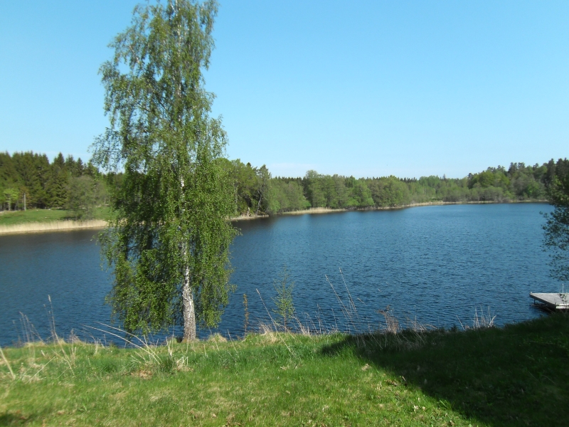 Wooded Swedish lake with small bathing pier