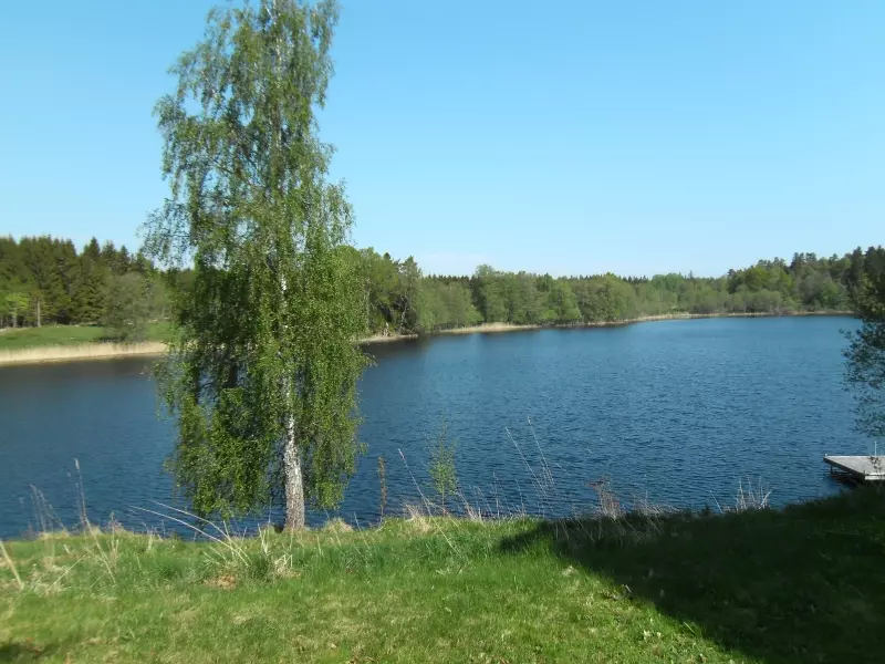 Lake shore in Östergötland