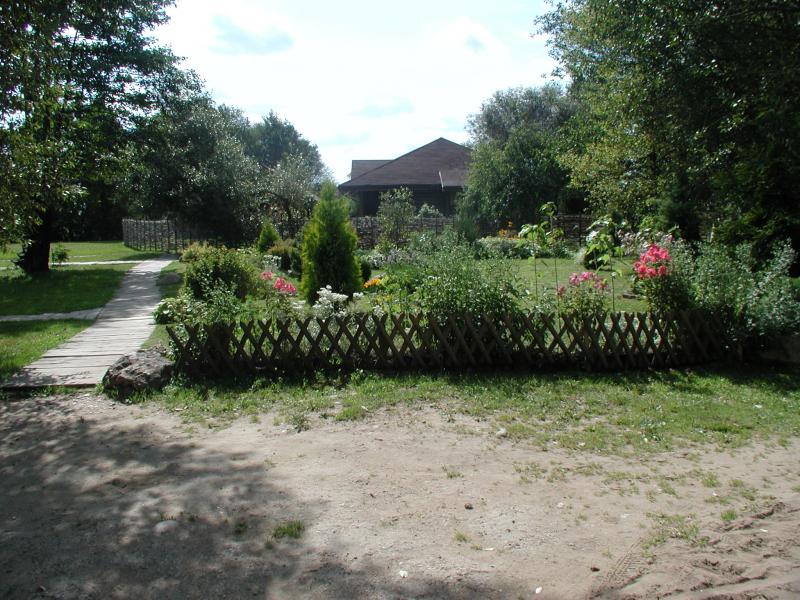 Dacha garden with wooden house