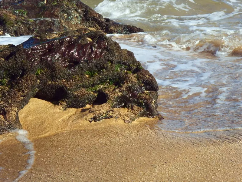 Ios beach