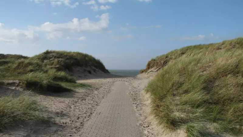 Dune path