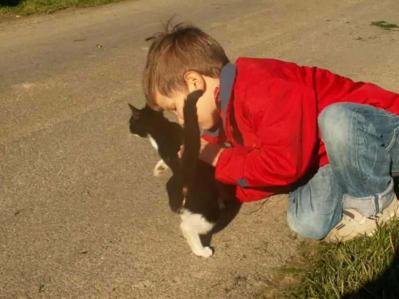 Child takes care of a cat outdoors
