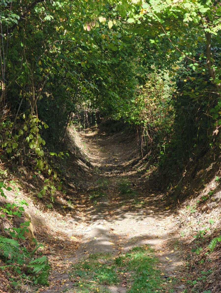 File:Landappbw 891967 4871 Hohlweg Berglen-Oppelsbohm.jpg