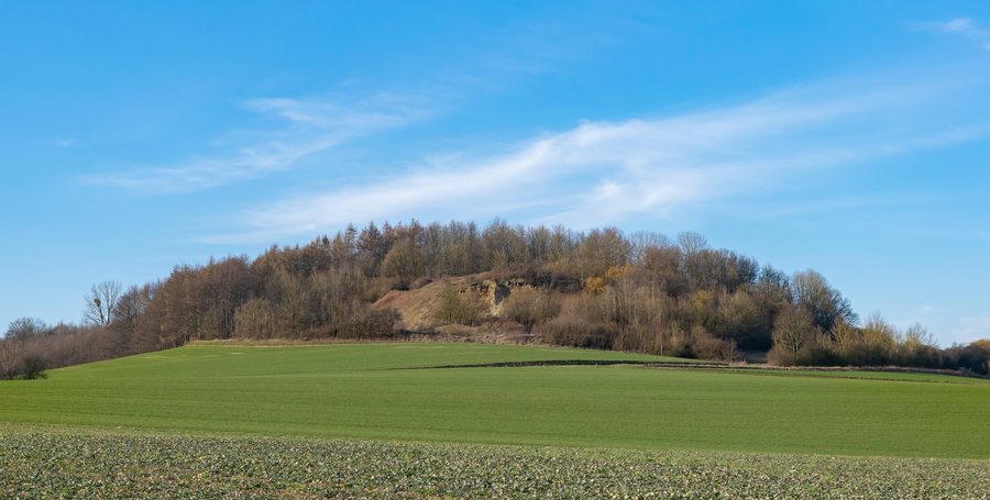 File:Barntrup - 2019-02-23 - Knappberg (7).jpg