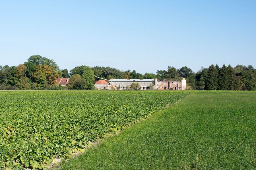 File:LSG Schmutterwäldchen Asbach Bäumenheim 0ß2.jpg