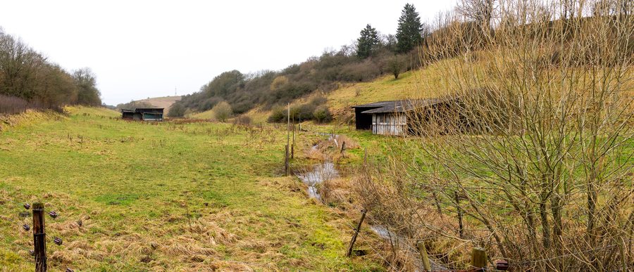 Schleifbachtal southwest of Nettersheim nature reserve