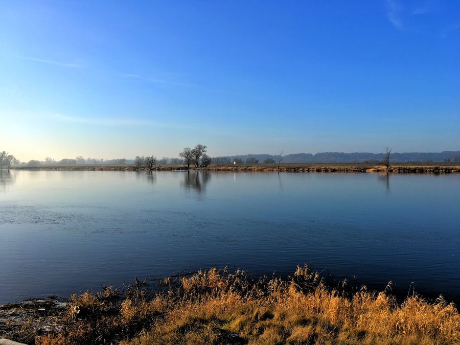 File:Herbstliche Oder bei Lunow-Stolzenhagen (von der polnischen Seite aus gesehen).jpg