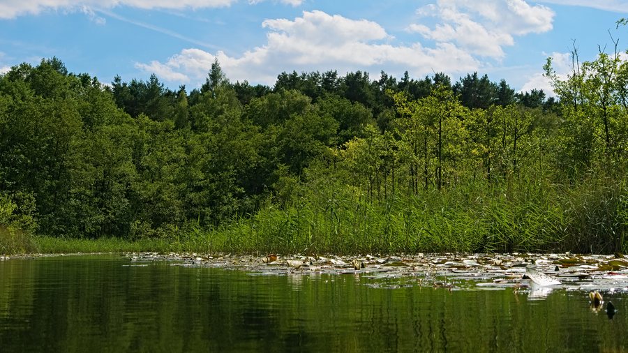 Glubig-Melang-Fließ in Wendisch Rietz