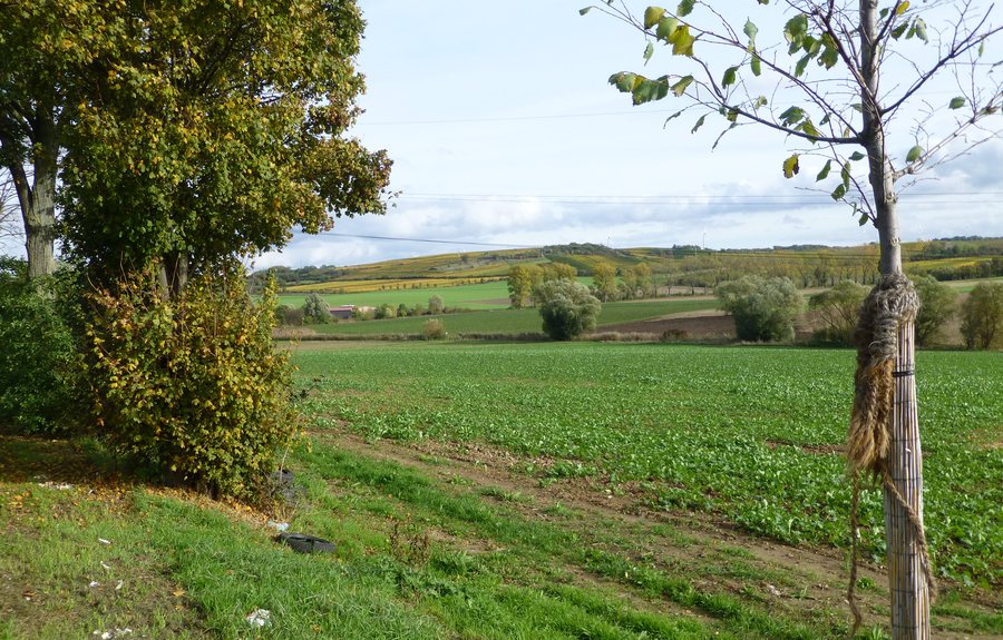 Landscape B420 Landkreis Alzey-Worms 032