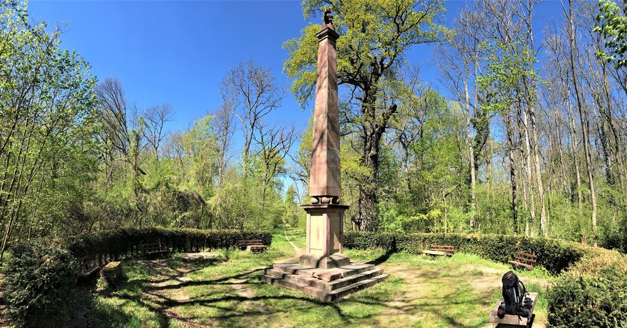 Landschaft NSG2022 Kühkopf-Knoblochsaue (Rheinauen Stockstadt am Rhein) Schwedensäule (2)
