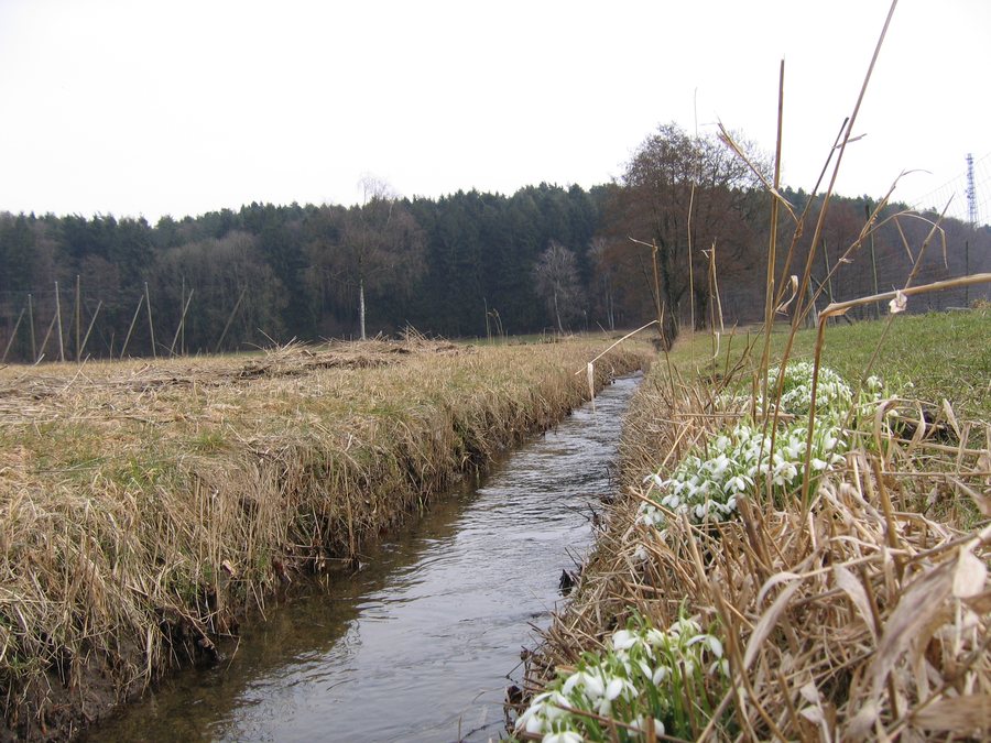 Berger Weiher and Betznauer Bach