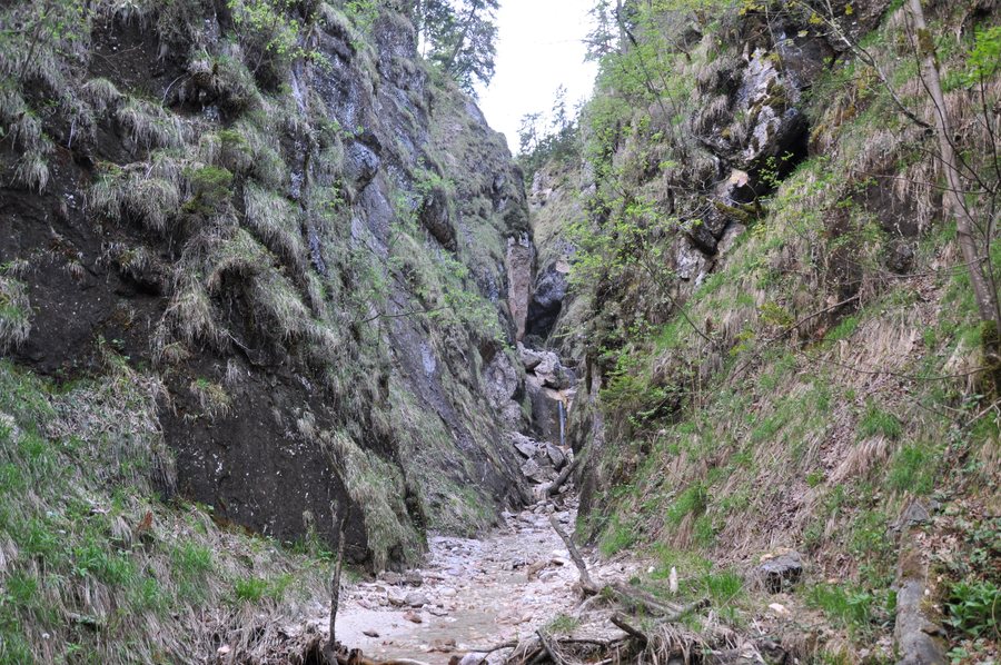 File:Löwenschlucht-Bayerisch Gmain.jpg