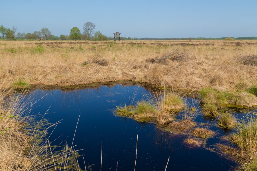 File:Recker Moor 47.jpg