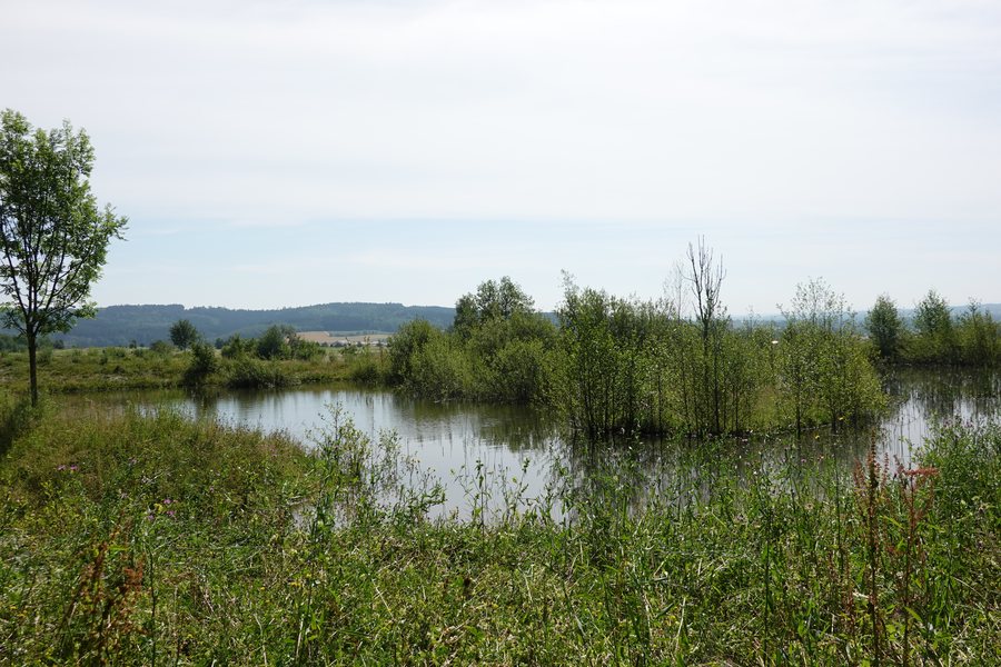 File:Weiher Gigler.jpg