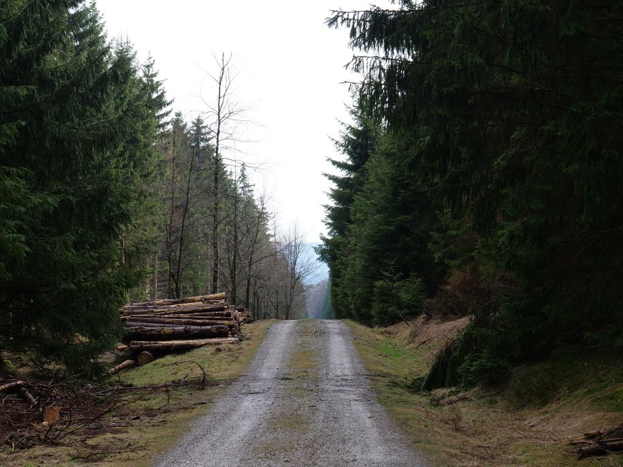 File:Alte Herrenlinie Harz 01.jpg