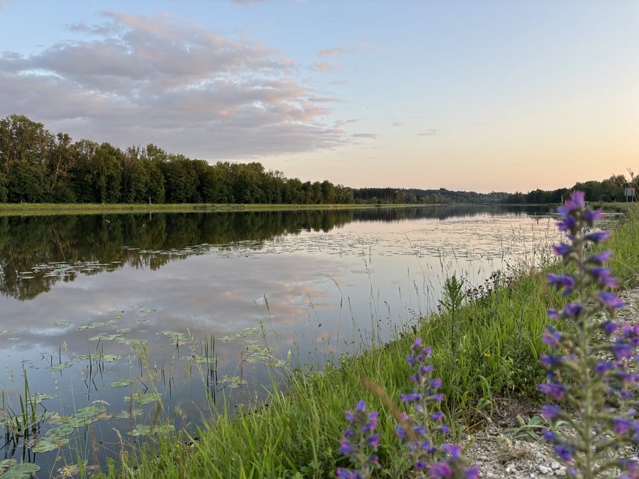 File:Donau bei Offingen (Bayern).jpg