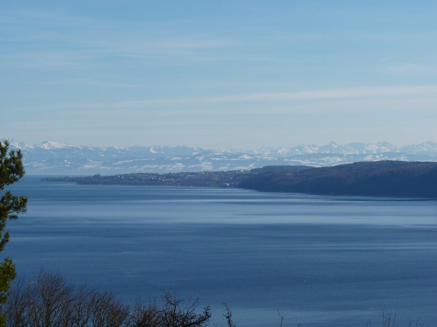 View of Lake Constance and Alps from Bodman-Ludwigshafen