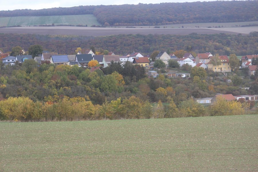 File:Bilzingsleben, Steinrinne, Blick zum Dorf-4.jpg