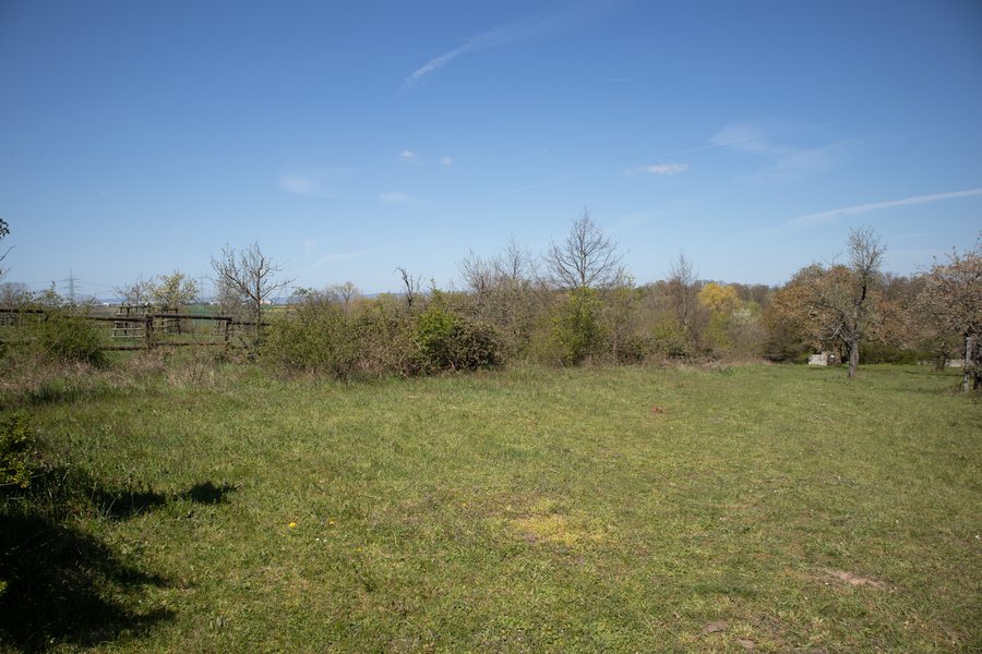 File:Falkenberg und Geissberg, Flörsheim am Main (IMG 1219).jpg
