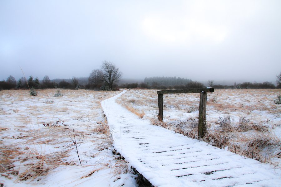 File:Vennhochfläche bei Mützenich im Schnee - ACK-045.jpg