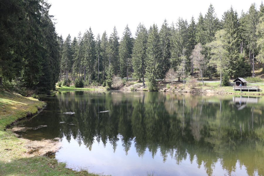 File:Katzhütte-Reichenbachteich.jpg