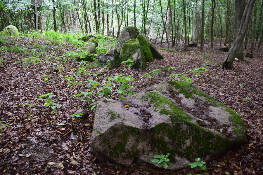 Großsteingräber bei Dambeck (Bütow) Grab 1 A
