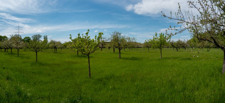File:Neuaue, Ginsheim-Gustavsburg (P1090360-Pano).jpg