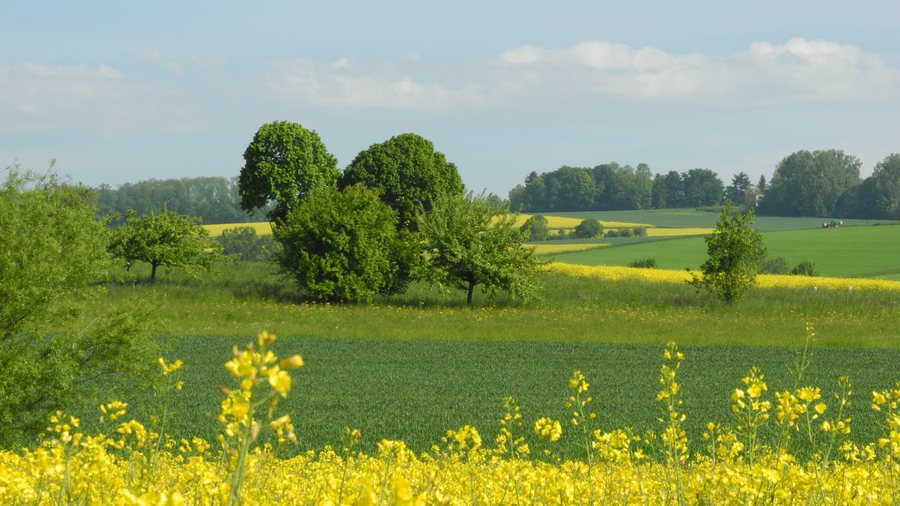File:Allmendingen - Hochstäßlandschaft bei Schwörzkirch.JPG