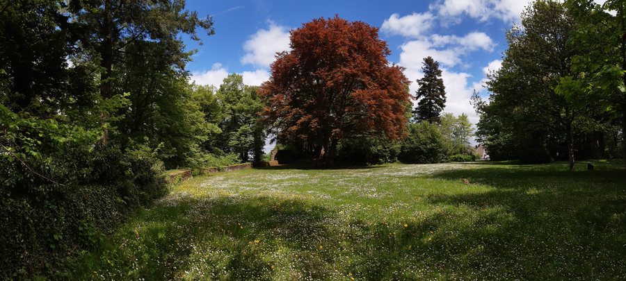 Burgruine Birkenfeld