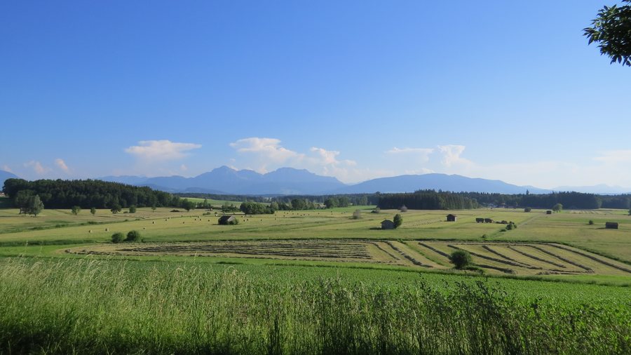 File:Saaldorf-Surheim - Abtsdorf westl - Fischer Ri SW - Haarmoos 01.jpg