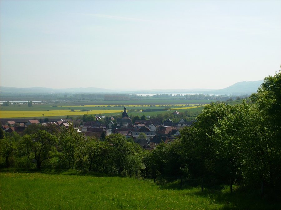 File:HammaOrt.JPG