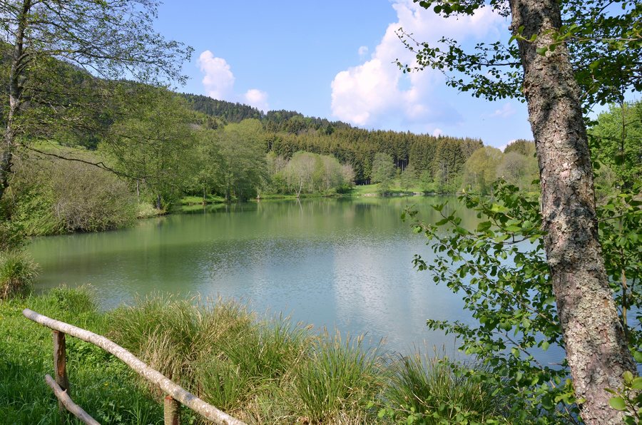 File:Ratshauser See bei Ratshausen, Zollernalbkreis.jpg