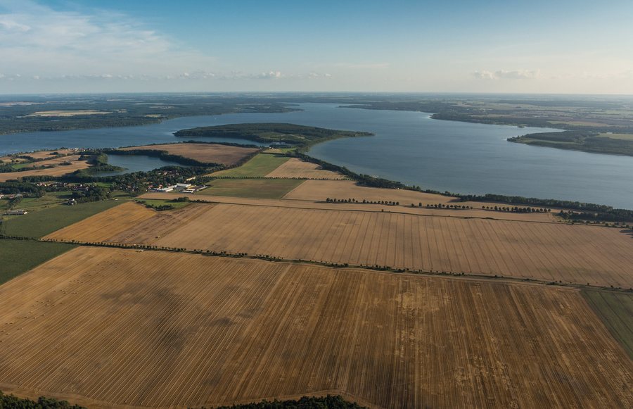 Field at Tauchowsee