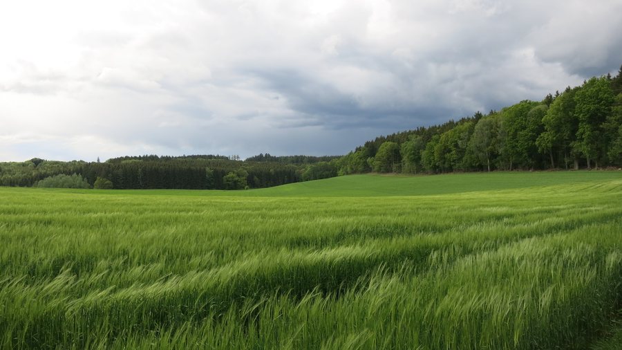 File:Dietenheim Landschaft.JPG