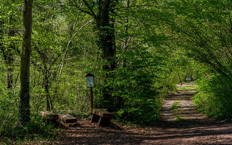 File:Skulpturenstraße Weisweil jm136358.jpg