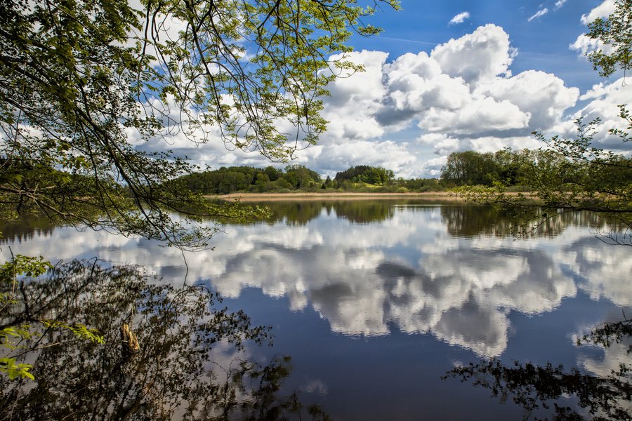 File:Rösslerweiher(Schlier).jpg