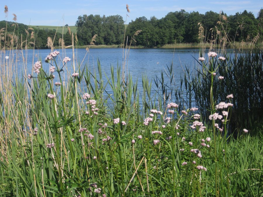 Der Illmensee im gleichnamigen Ort